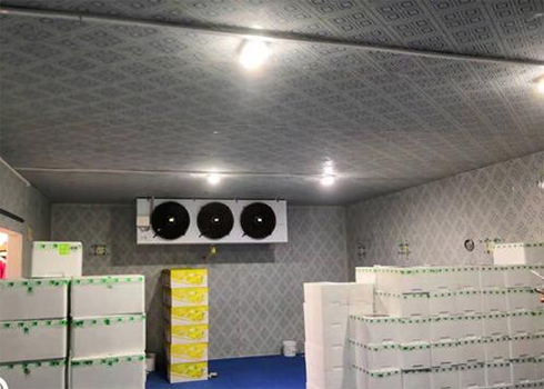 海鮮低溫冷凍庫(kù)建造安裝 海鮮低溫冷凍庫(kù)建造安裝