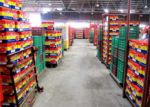 水果冷庫(kù)安裝建造 水果冷庫(kù)安裝建造