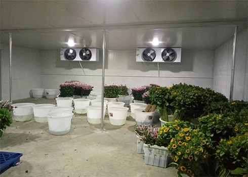 鮮花保鮮冷庫(kù)建造 鮮花保鮮冷庫(kù)建造