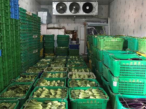 保鮮冷庫(kù)建造廠家 保鮮冷庫(kù)建造廠家