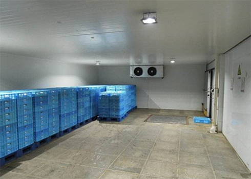 保鮮冷庫(kù)建造公司 保鮮冷庫(kù)建造公司