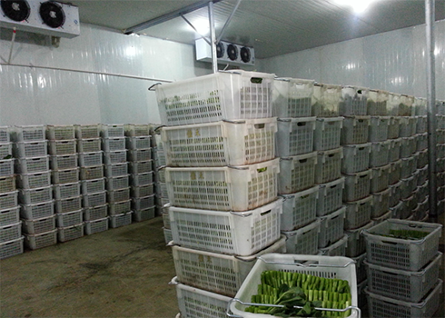 保鮮冷庫(kù)保養(yǎng)規(guī)范 保鮮冷庫(kù)保養(yǎng)規(guī)范