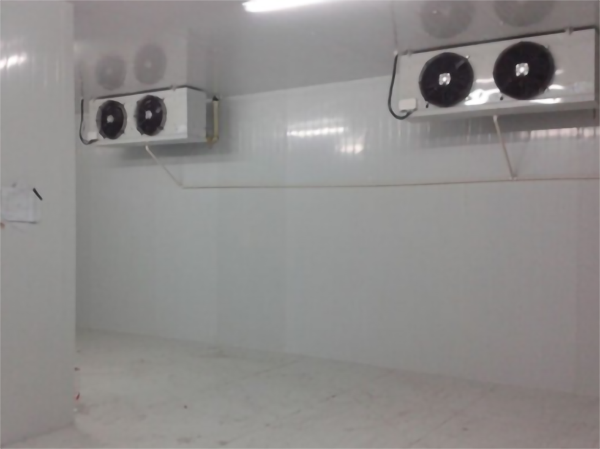 0~15℃保鮮冷藏庫(kù)建造 0~15℃保鮮冷藏庫(kù)建造