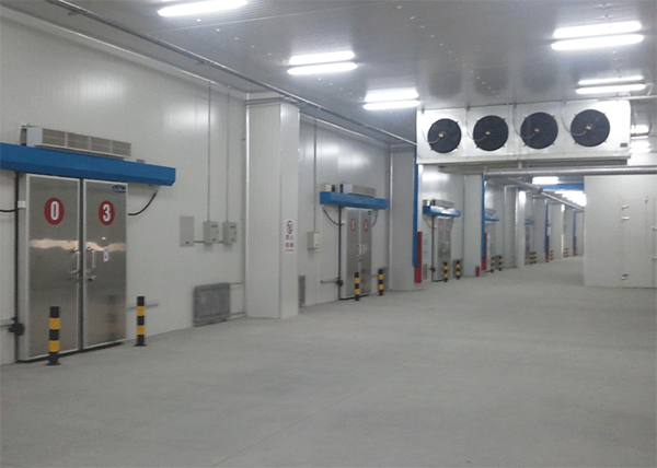 食品冷凍庫建造安裝 食品冷凍庫建造安裝