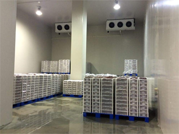 蘋果保鮮氣調(diào)庫安裝價格 蘋果保鮮氣調(diào)庫安裝價格