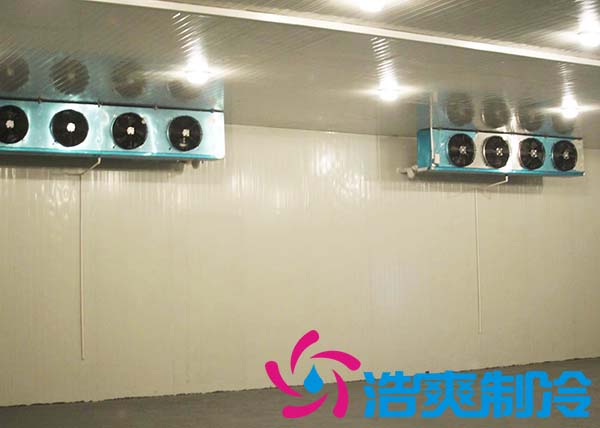 建造一個農(nóng)貿(mào)市場冷庫造價大概多少費用？