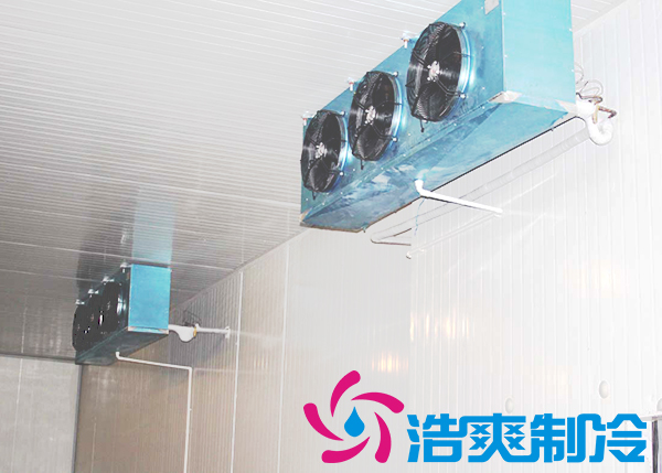 建造大型低溫冷鏈配送中心冷庫造價(jià)費(fèi)用要花多少錢？