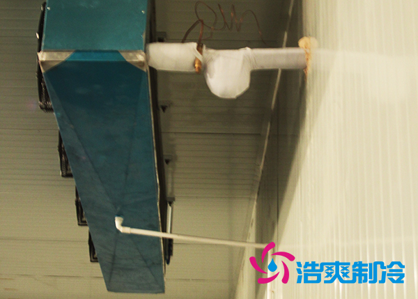 建造大型農(nóng)產(chǎn)品基地冷庫(kù)造價(jià)需要投資多少費(fèi)用？