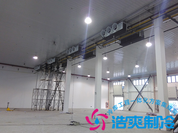 建造一個小型青果檳榔保鮮冷庫造價多少錢？可以存儲多長時間？