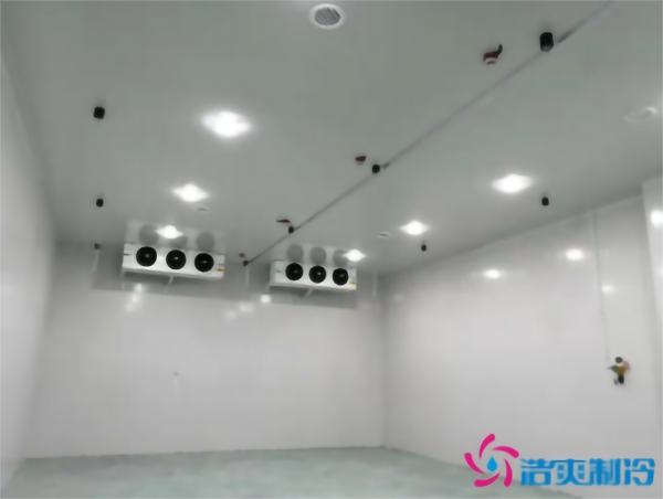 調(diào)味料冷庫溫度需求，建一個食品調(diào)味料冷庫多少錢？_浩爽制冷