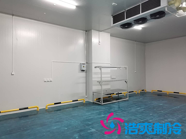 建一個1000平米蔬菜恒溫庫成本多少錢？_浩爽制冷