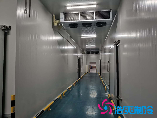 建一個1000平米蔬菜恒溫庫成本多少錢？_浩爽制冷