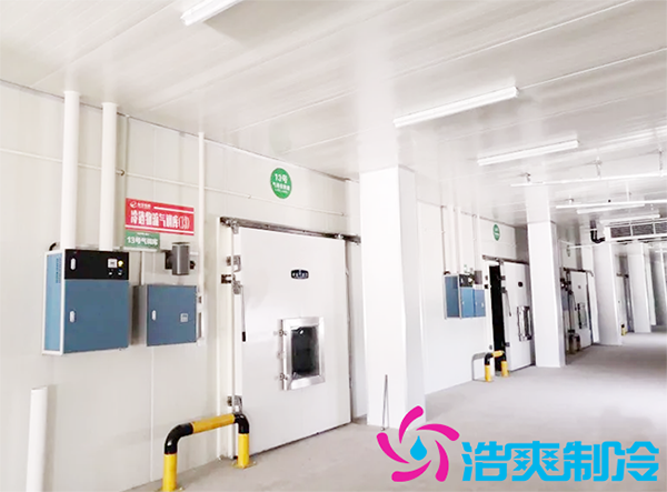 火龍果冷庫(kù)保存方法,火龍果能在冷庫(kù)存多久-浩爽制冷 火龍果冷庫(kù)保存方法,火龍果能在冷庫(kù)存多久-浩爽制冷