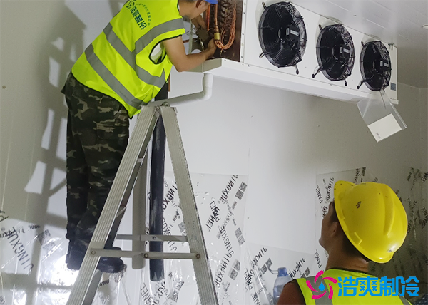 朝天椒的冷庫(kù)儲(chǔ)存方法及溫度要求-浩爽制冷 朝天椒的冷庫(kù)儲(chǔ)存方法及溫度要求-浩爽制冷