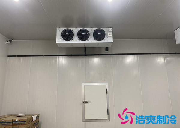 生鮮蔬菜市場(chǎng)冷庫(kù)應(yīng)該建多大？-浩爽制冷