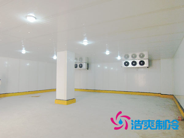 50噸果蔬氣調(diào)庫預(yù)算造價多少錢？-浩爽制冷