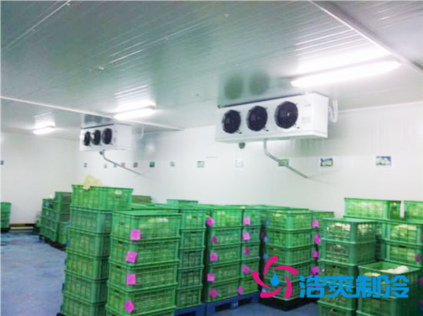 茶葉冷庫設(shè)置多少溫度合適？-浩爽制冷