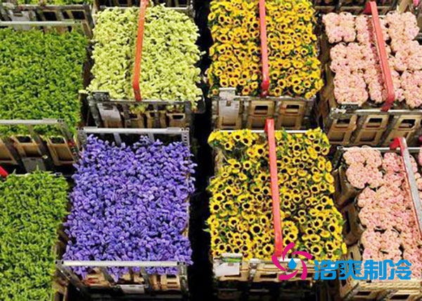 花卉冷庫安裝預(yù)算造價多少錢？-浩爽制冷