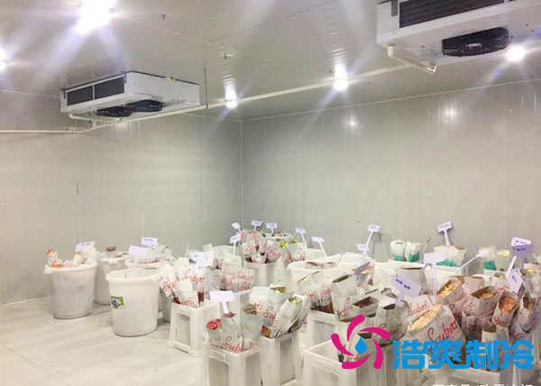 做個(gè)鮮花冷庫要多少錢？-浩爽制冷