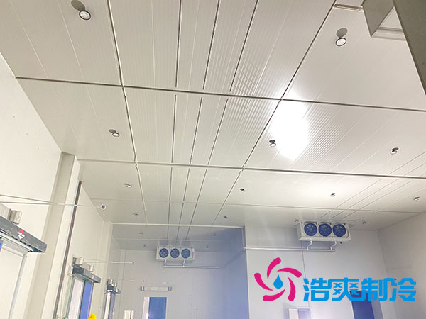 江蘇大型冷庫設(shè)計 江蘇大型冷庫設(shè)計