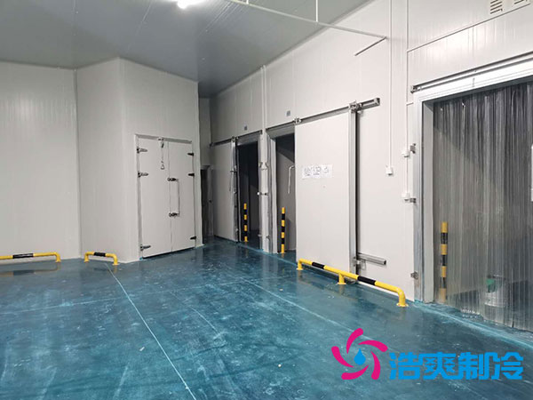 郴州速凍食品冷庫造價多少錢一平方？-浩爽制冷