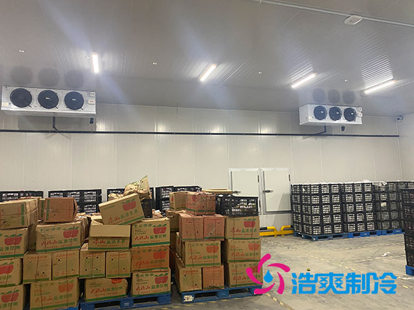 衡陽大型水果冷庫造價(jià)多少錢一平方？-浩爽制冷