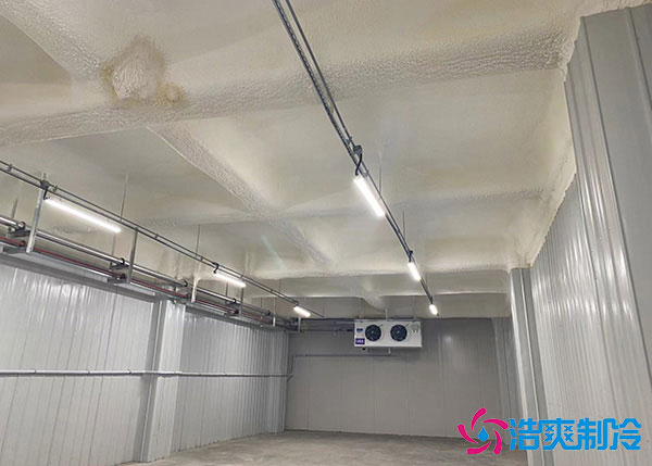 低溫冷庫(kù)建造用風(fēng)冷好還是排管好？.jpg