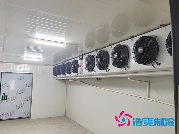 建造500平方米梨子保鮮冷庫的費用是多少？-浩爽制冷