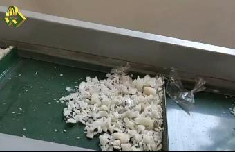 單軸撕碎機組，塑料膠塊撕碎