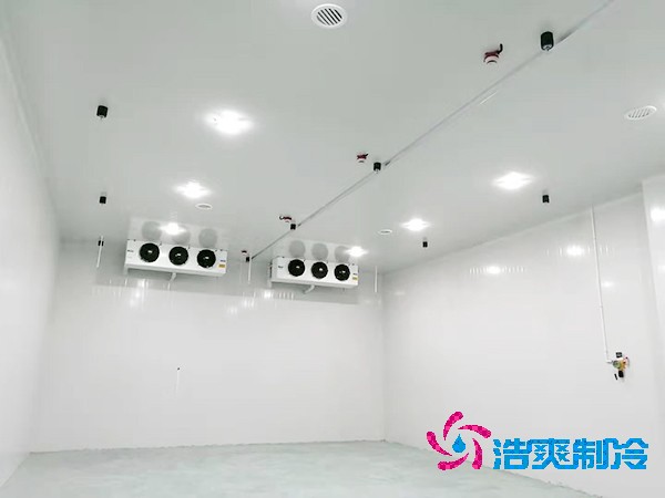 冷庫(kù)造價(jià)揭秘：300平方米到底要花多少錢(qián)？-浩爽制冷