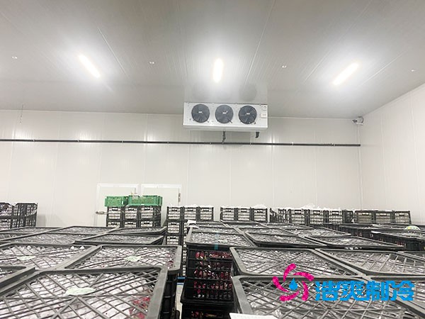 想知道保鮮冷庫設(shè)計(jì)安裝要花多少錢？-浩爽制冷