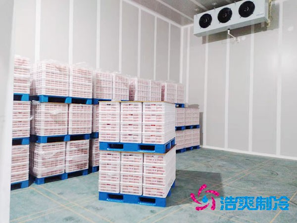 火龍果保鮮冷庫造價(jià)