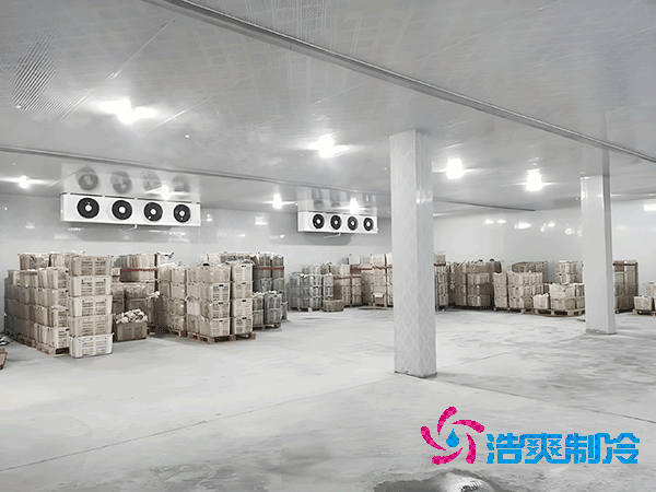 1000立方冷庫造價預(yù)算及耗電量解析