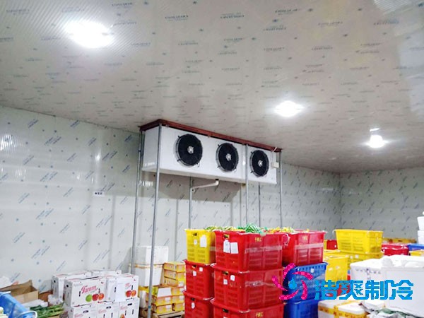 50噸冷庫造價(jià)及建造面積