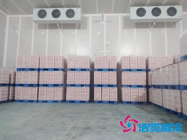 蘋果保鮮冷庫造價