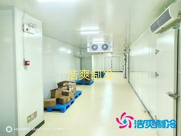 荔枝冷庫安裝價(jià)格多少錢一平方米？荔枝冷庫可以放多久-浩爽制冷