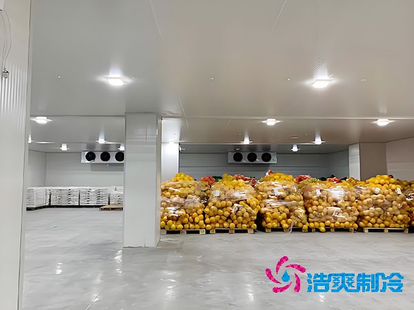 建一個蔬菜冷庫造價需要多少錢？-浩爽制冷